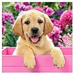 Finished Yellow Lab Diamond Painting~~Over 11,000 Diamonds